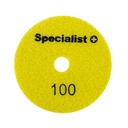 SPECIALIST+ deimant. Šlifavimo lap., universalus, 100 mm, 100P