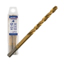 SPECIALIST+ metalo grąžtas TITAN, 6 mm, 10 vnt.