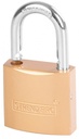 Gold padlock 38 mm