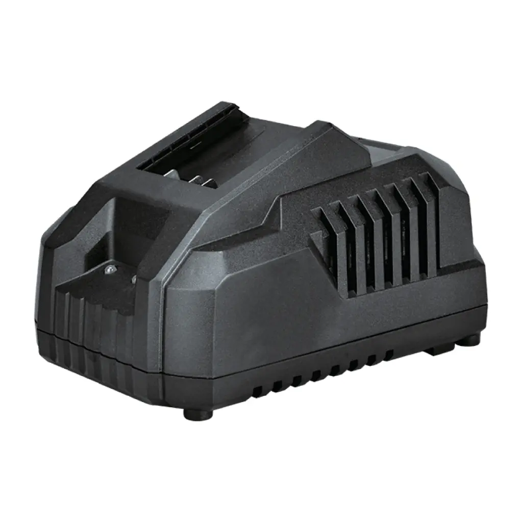 Įkroviklis 4.0A, 20V, FFCL20-04, DCK