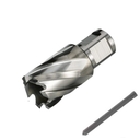 Drilling, screwing tools / HSS annular cutters 