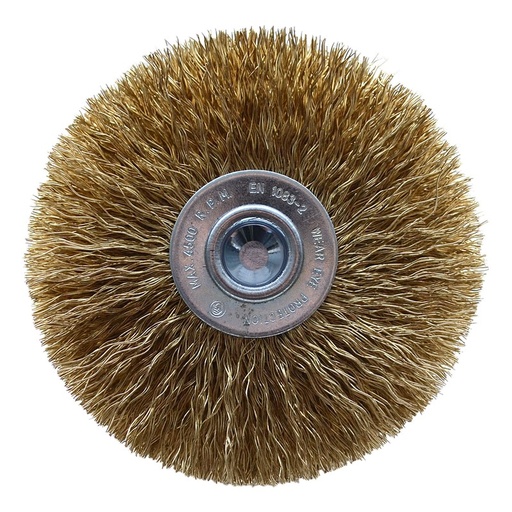 [62-36012XJ] Viel. plokšč. šepetys var. 100 mm, kot.